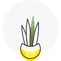 icon-garden-care malaysia online plants shop cheap